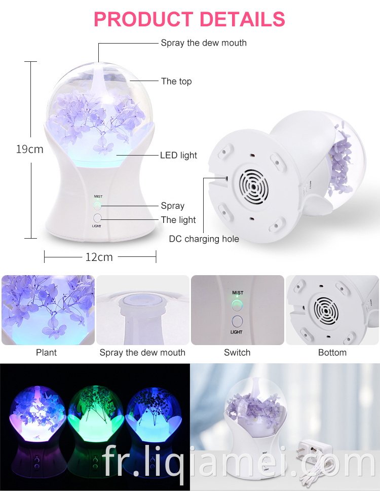 Ménage rond décoratif 100 ml brouillard brouillard aromathérapie huile essentielle diffuseur LED Humidificateur